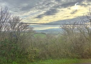 View- click for photo gallery